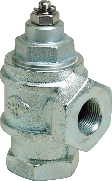 EBW Anti Syphon Valve