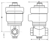 Morrison 710 AC Solenoid Valve - Normally Closed