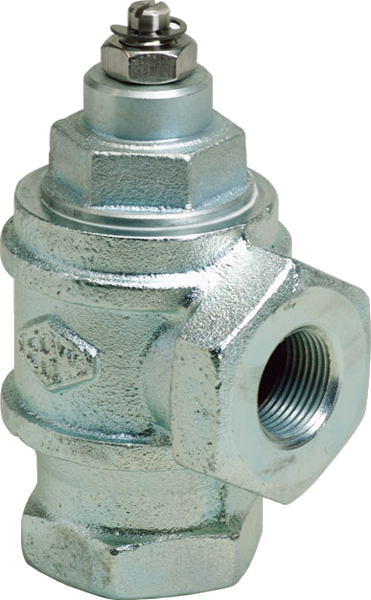 Franklin Fueling Systems 1 in. NPT Anti-Siphon Valve for Above